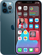 iPhone 12 Pro Max 256GB